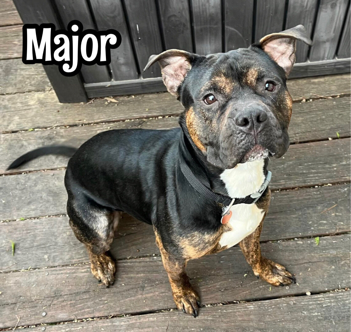 Major